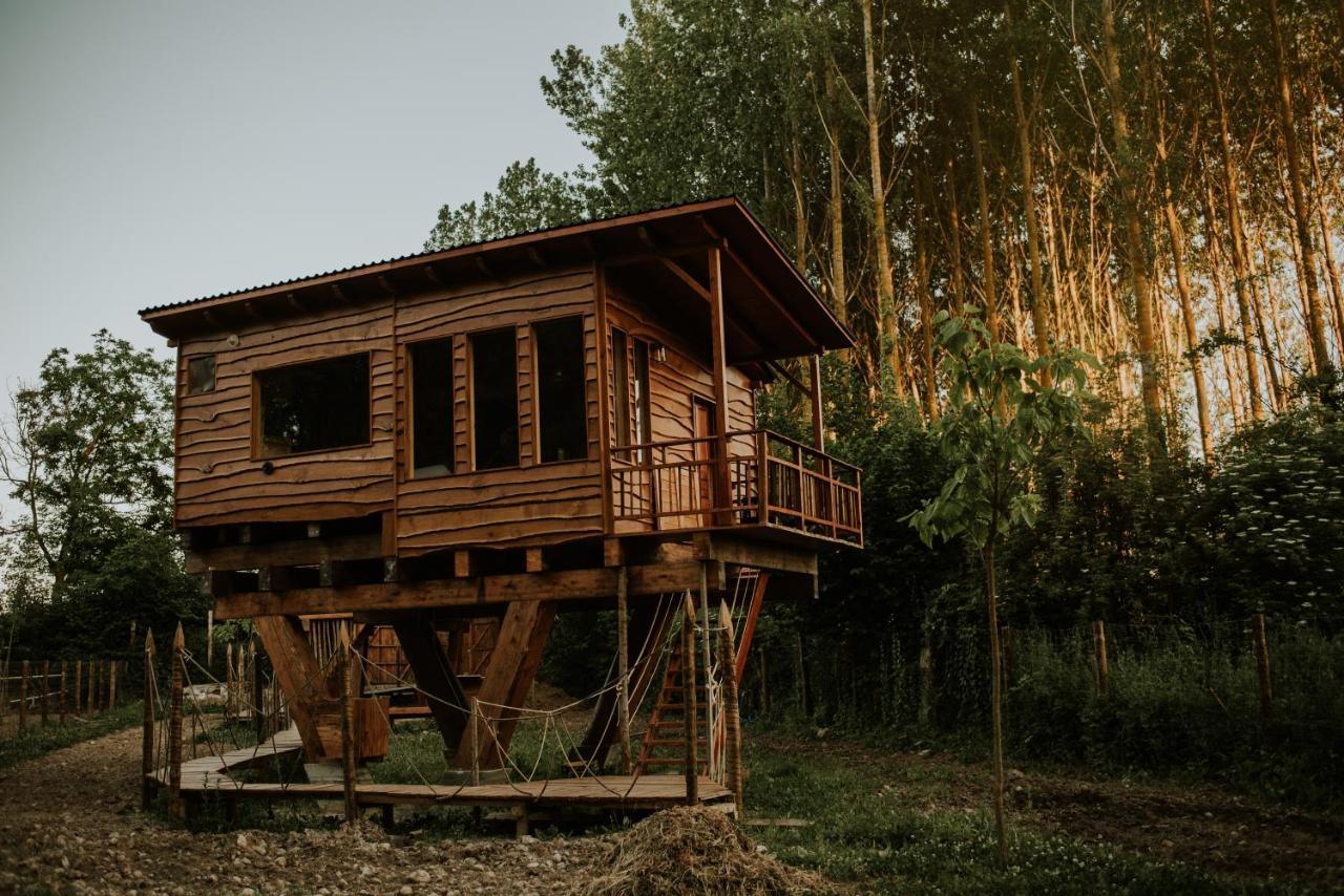 Bonita Cabana De Los Arboles En La Rioja , Durmiendo Entre Arboles Anguciana エクステリア 写真