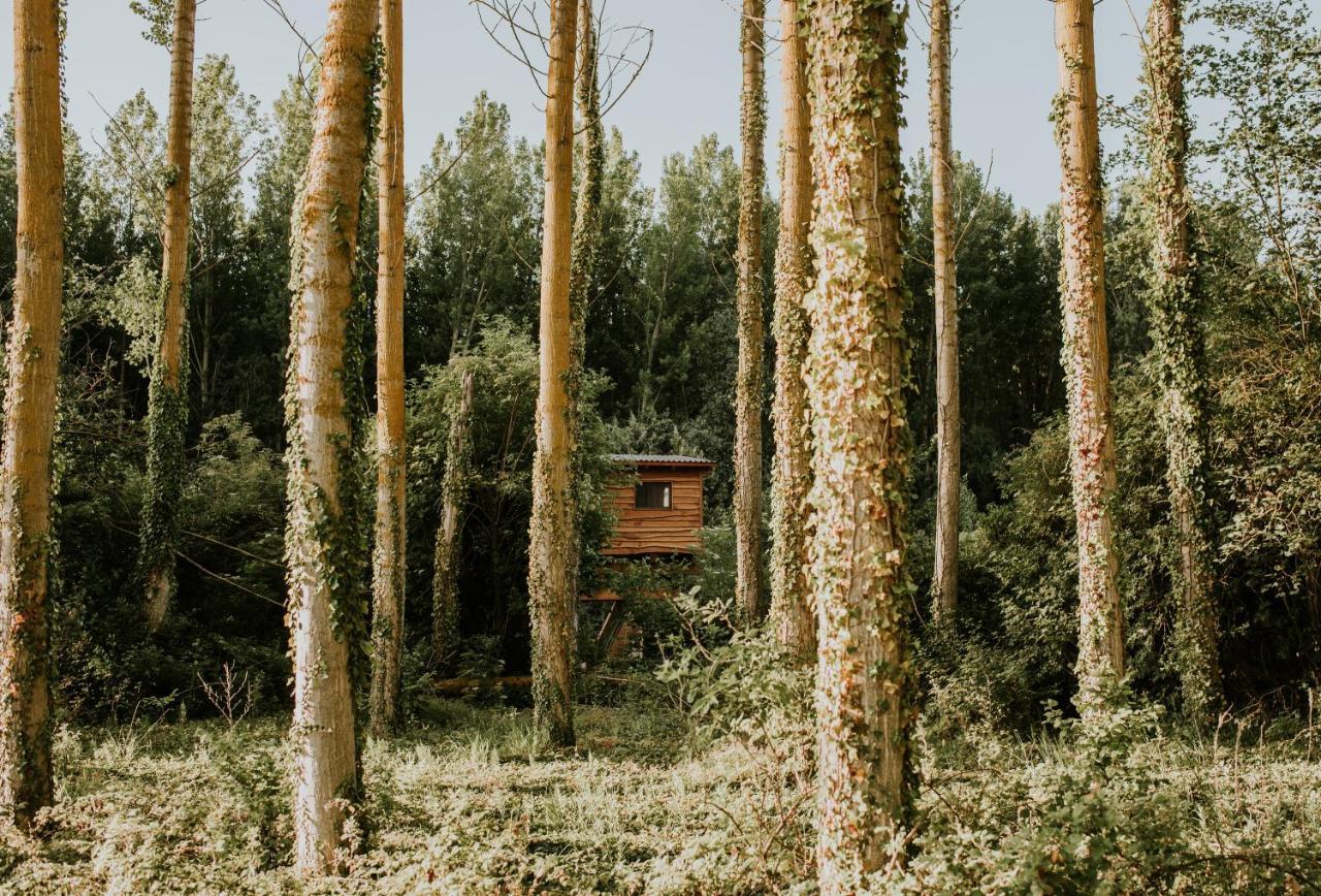 Bonita Cabana De Los Arboles En La Rioja , Durmiendo Entre Arboles Anguciana エクステリア 写真