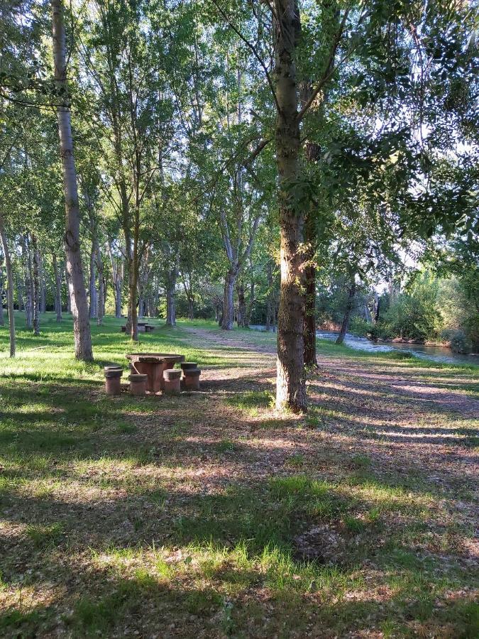 Bonita Cabana De Los Arboles En La Rioja , Durmiendo Entre Arboles Anguciana エクステリア 写真