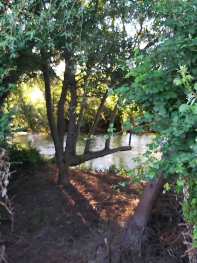 Bonita Cabana De Los Arboles En La Rioja , Durmiendo Entre Arboles Anguciana エクステリア 写真