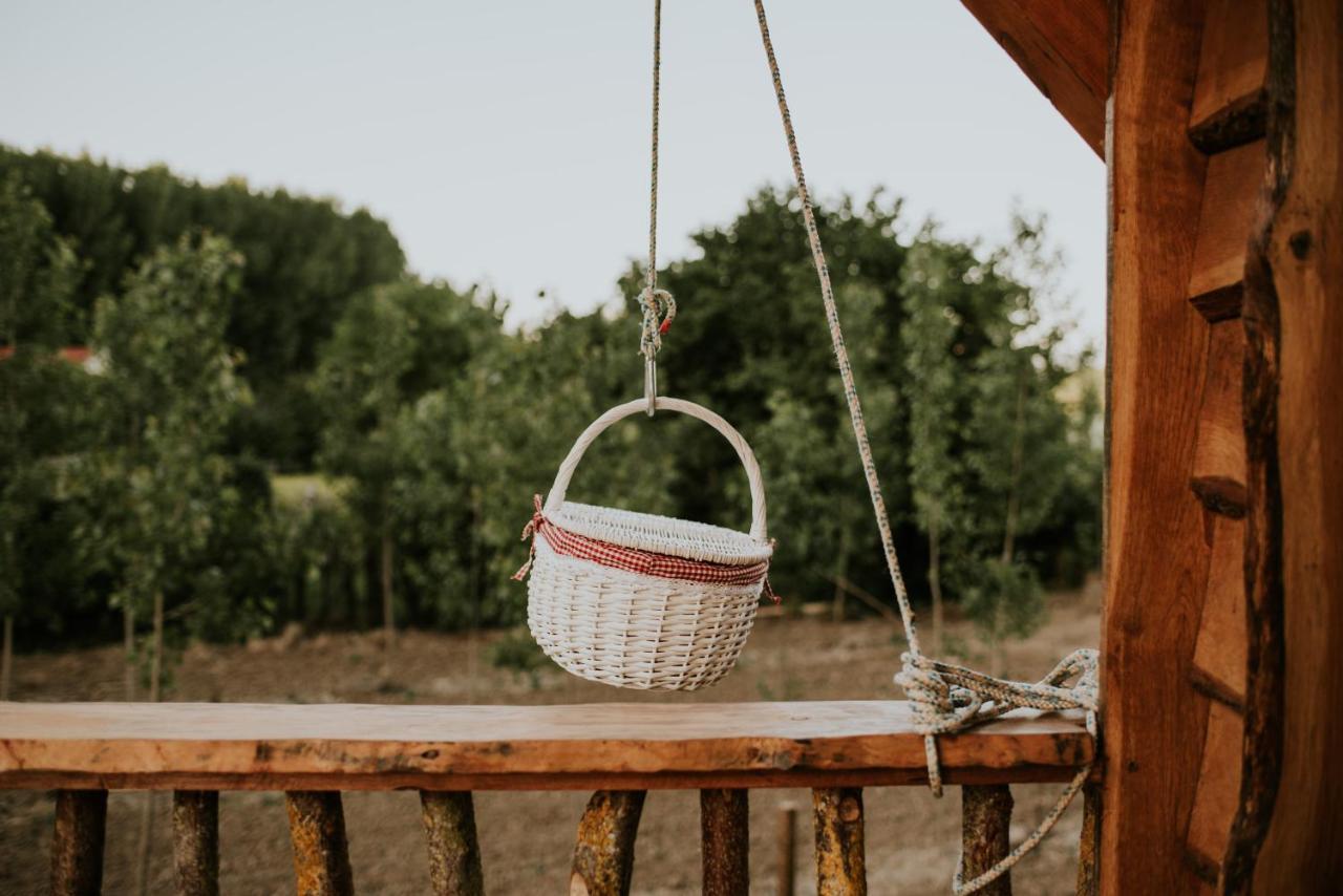 Bonita Cabana De Los Arboles En La Rioja , Durmiendo Entre Arboles Anguciana エクステリア 写真